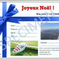 Bon vi noel specimen