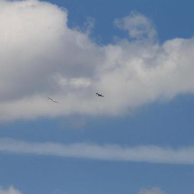 IMG_9235---Copie-ConvertImage
